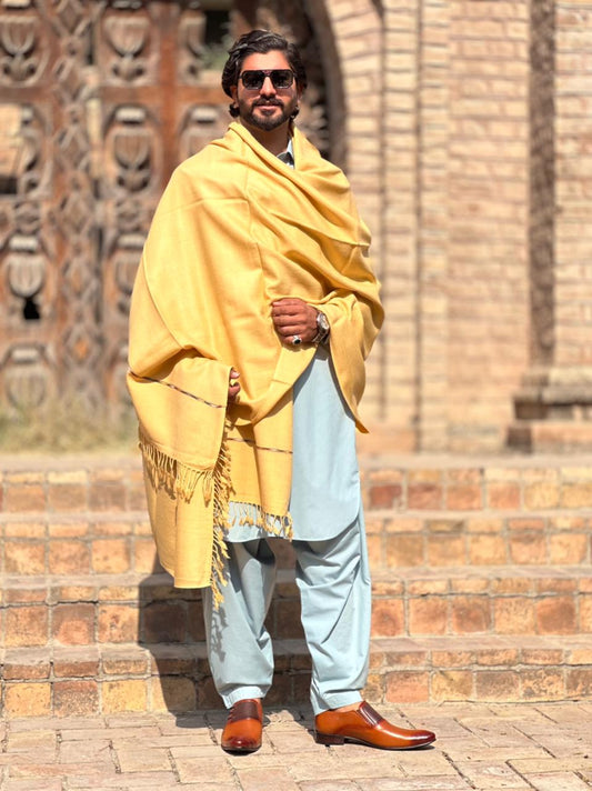 PetalWalk CREAM Colour Pashmina Wool Shawl (72 Single Count & 600gm)