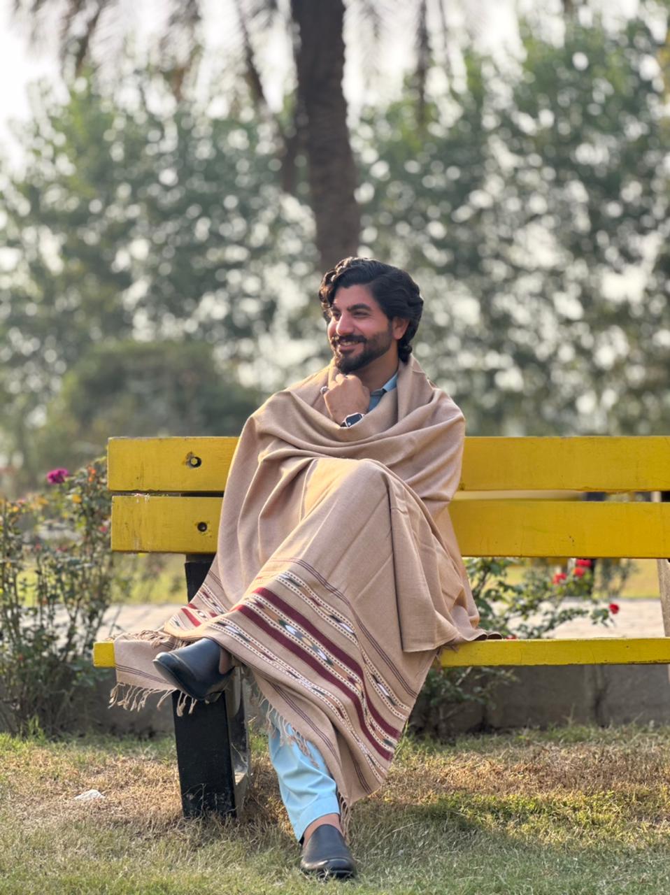 PetalWalk CAMEL Colour Pashmina Wool Multiborder Shawl (48 Triple Count & 650gm)