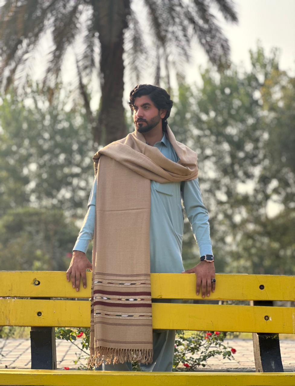 PetalWalk CAMEL Colour Pashmina Wool Multiborder Shawl (48 Triple Count & 650gm)