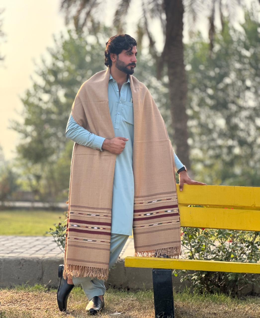 PetalWalk CAMEL Colour Pashmina Wool Multiborder Shawl (48 Triple Count & 650gm)