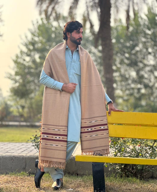 PetalWalk CAMEL Colour Pashmina Wool Multiborder Shawl (48 Triple Count & 650gm)